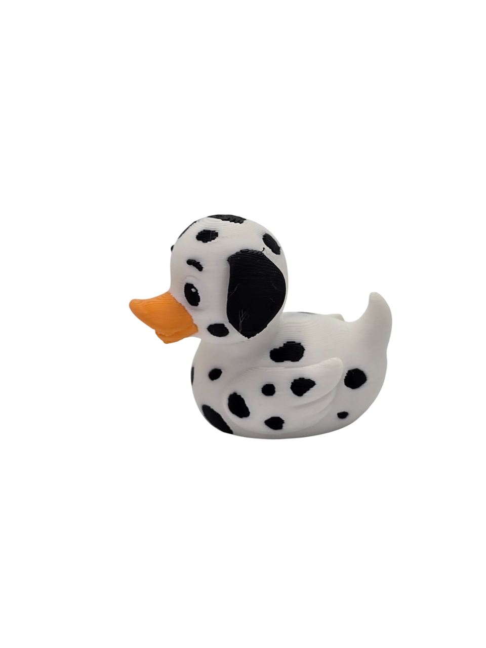 Dalmatian Duck