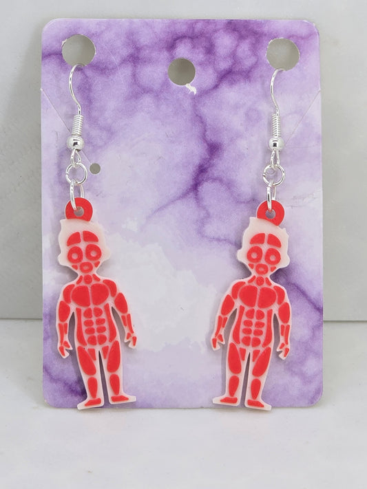 Muscular (Medical) 3D Printed Earrings