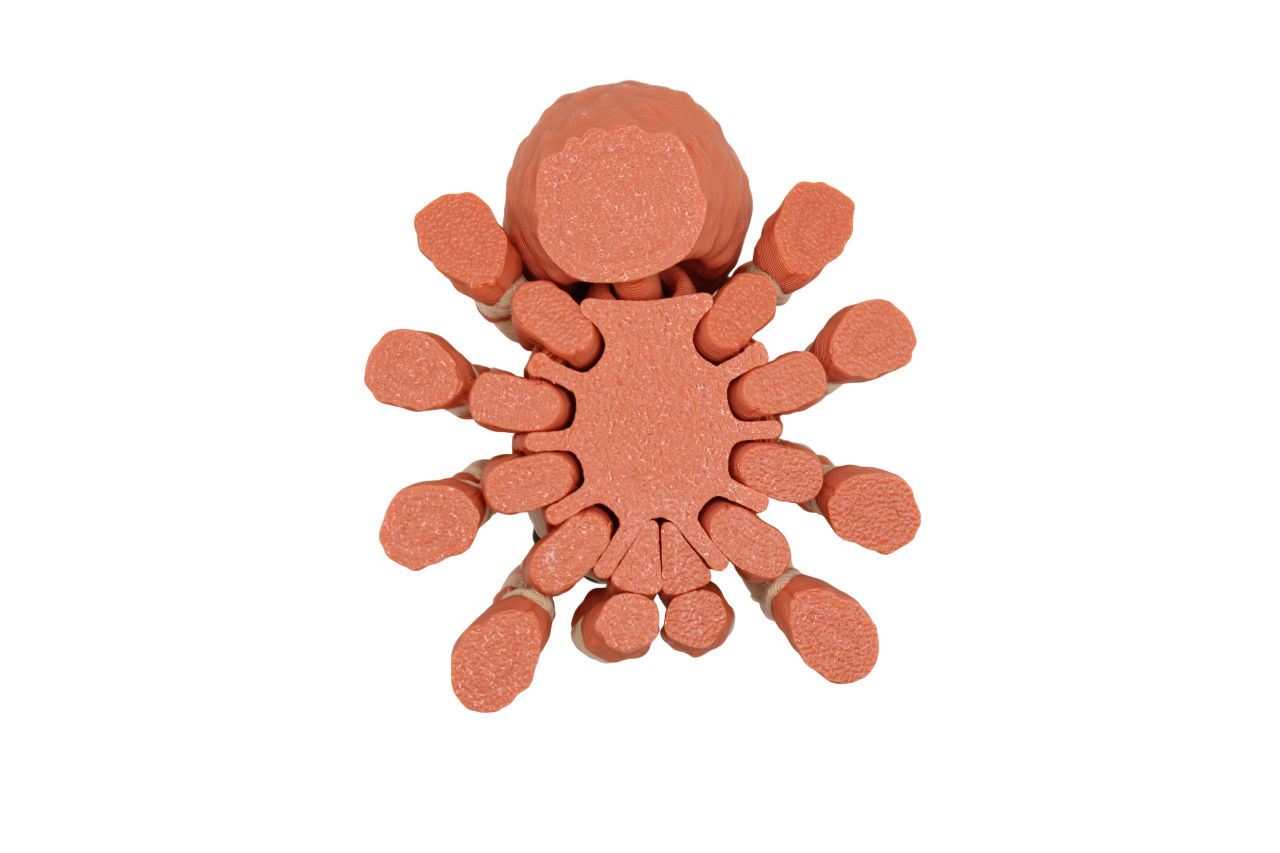 Spider Flexi
