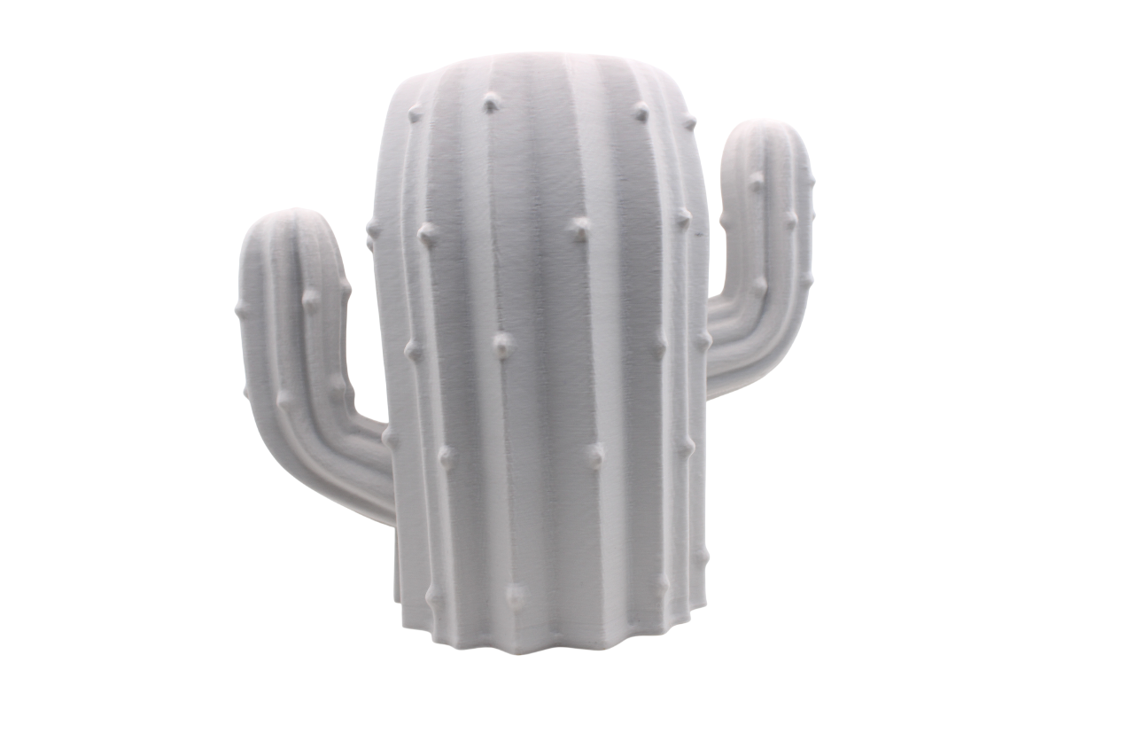 Cactus Pencil Holder