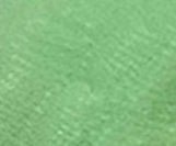 Bone Dragon 5 with Roses - Erratically Eccentric Creations