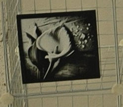 3D printed Calla Lily Hueforge art piece in a black frame resting on a wire surface.