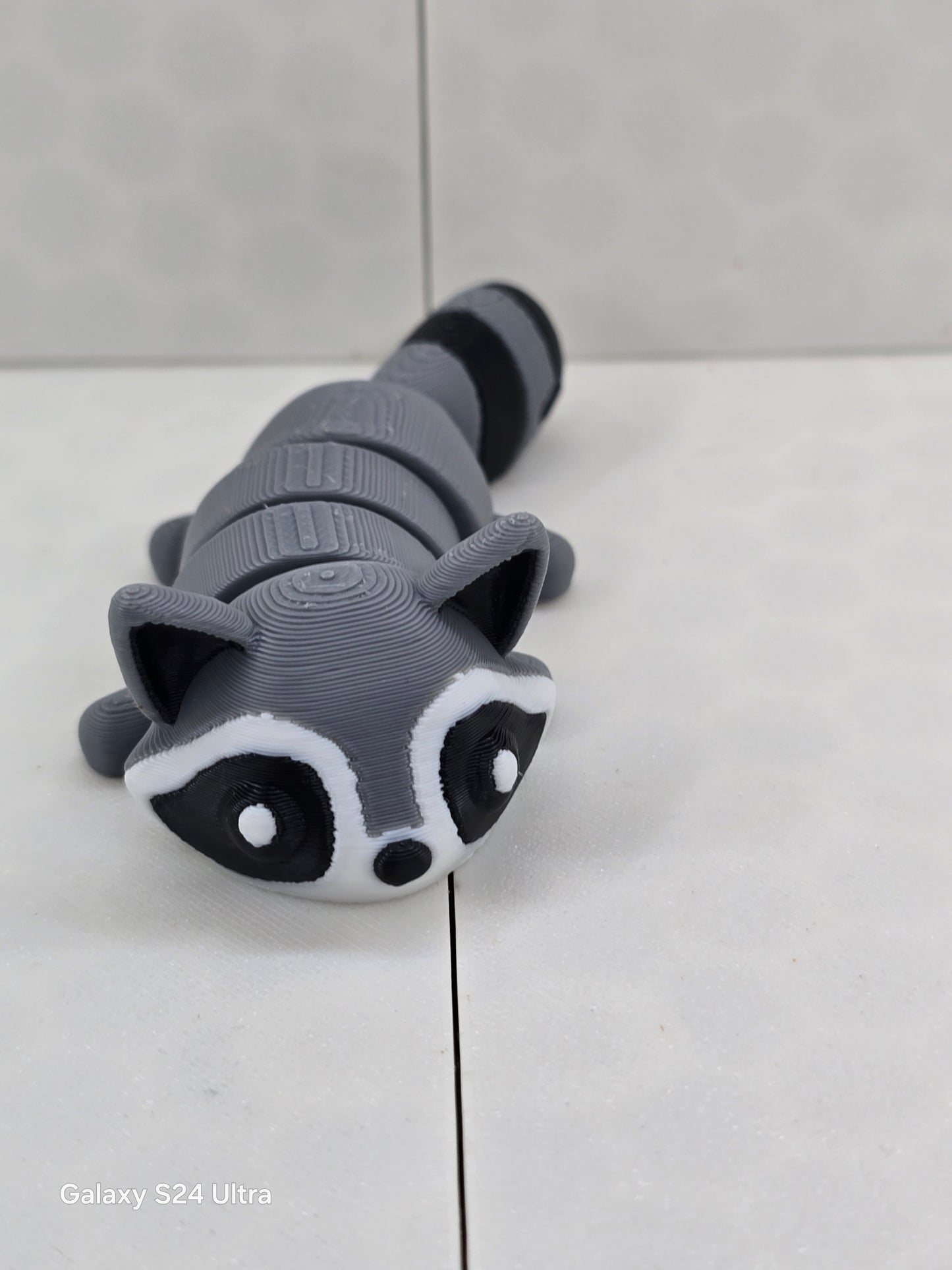 Racoon
