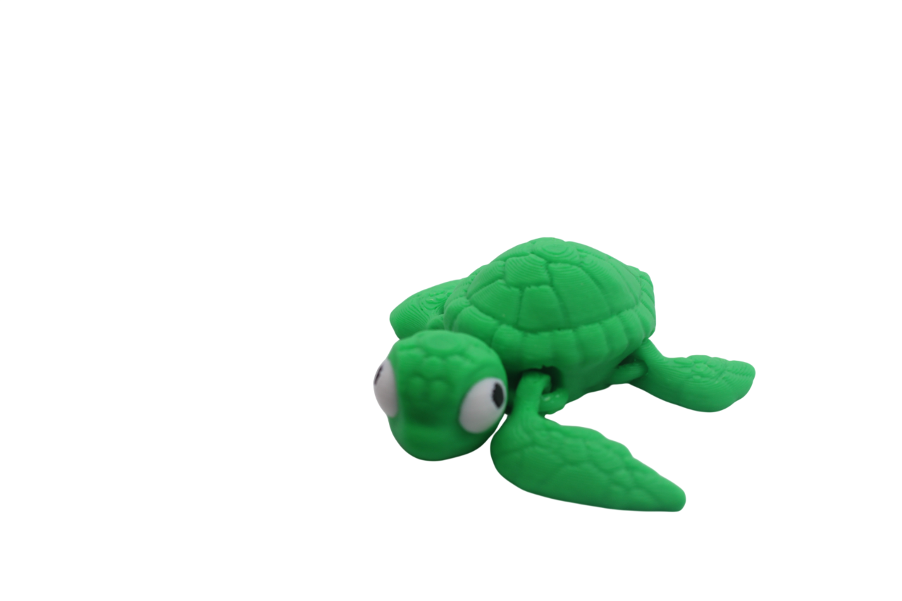 Turtle Mini