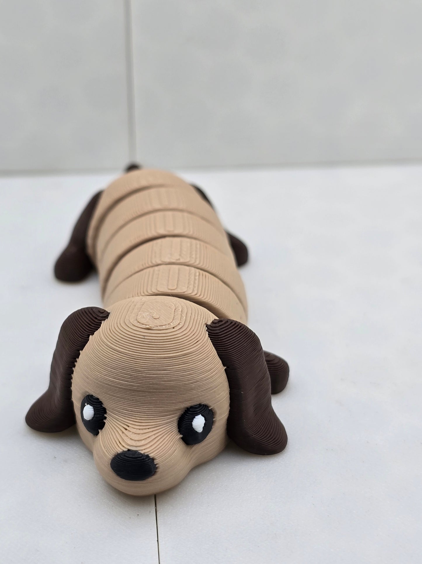 Dachshund Dog Small