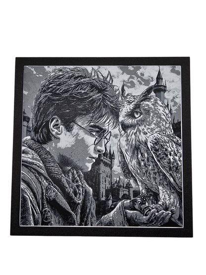 Harry and Hedwig Painting - 3D Printed