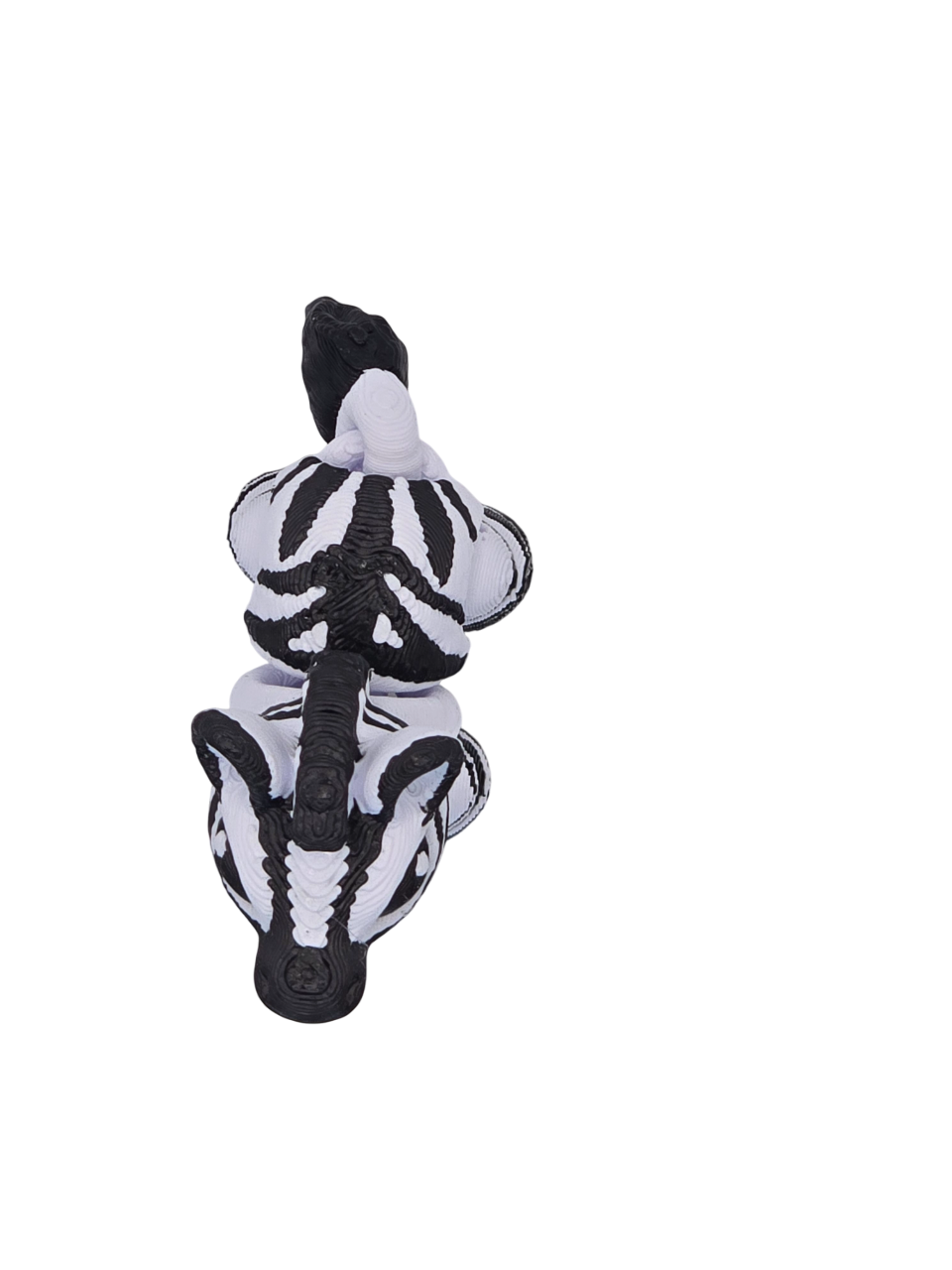 Zebra Mini