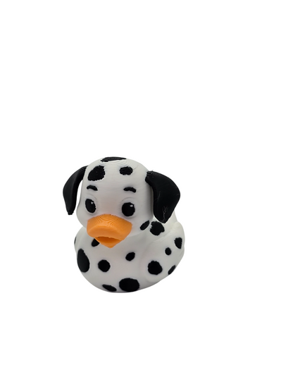 Dalmatian Duck