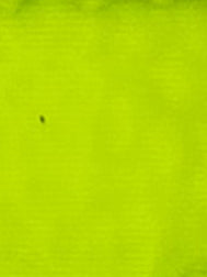 Bright Green Color Sample