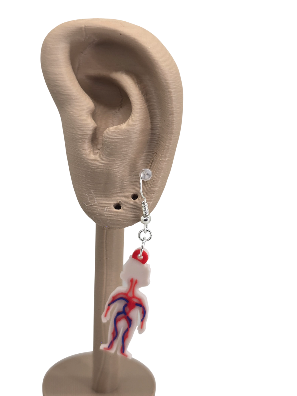 Cardiovascular Earrings (veins and arteries)