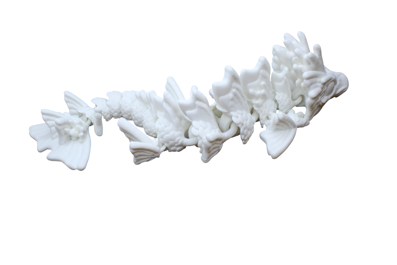 Koi Dragon