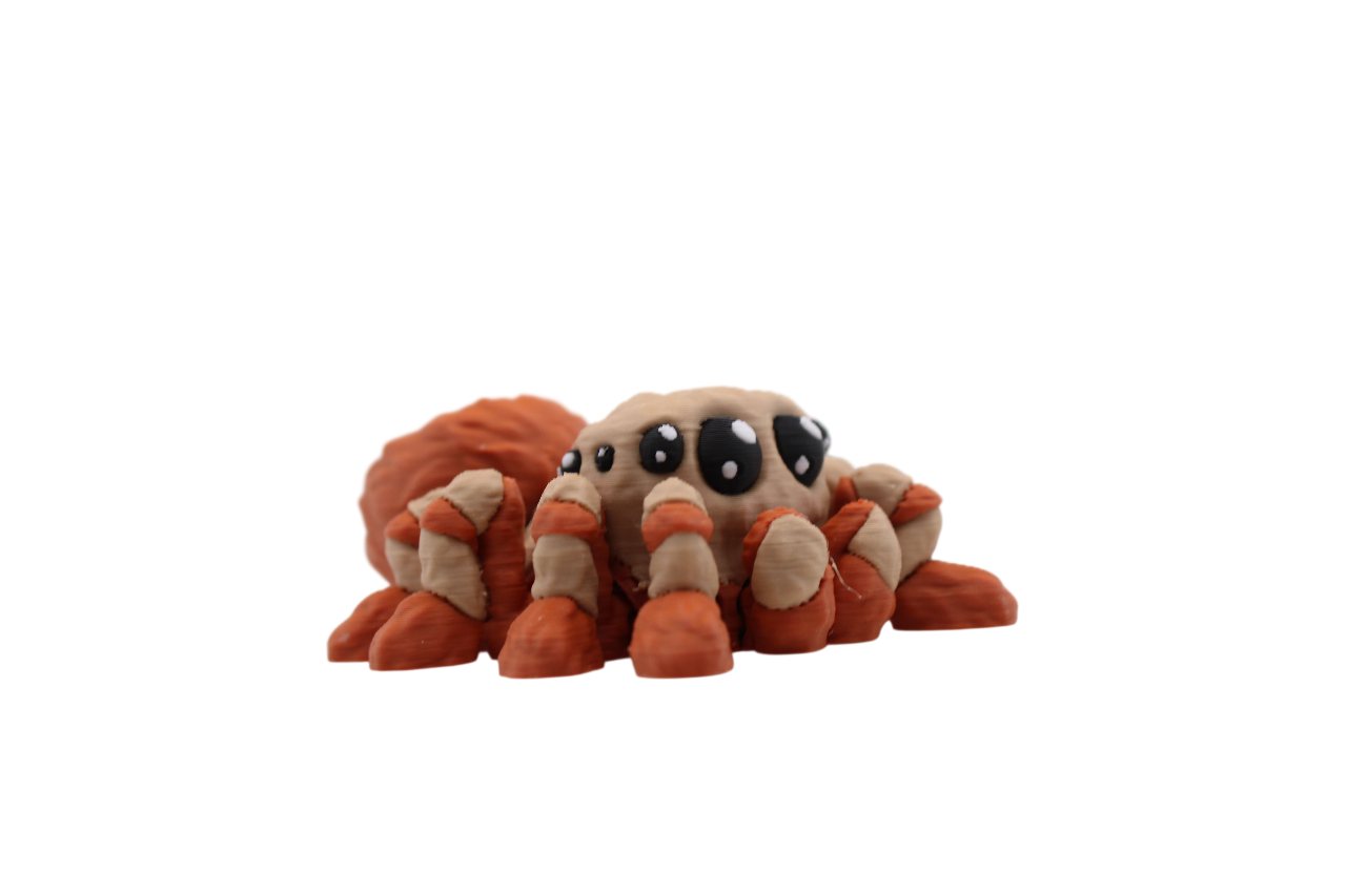 Spider Flexi