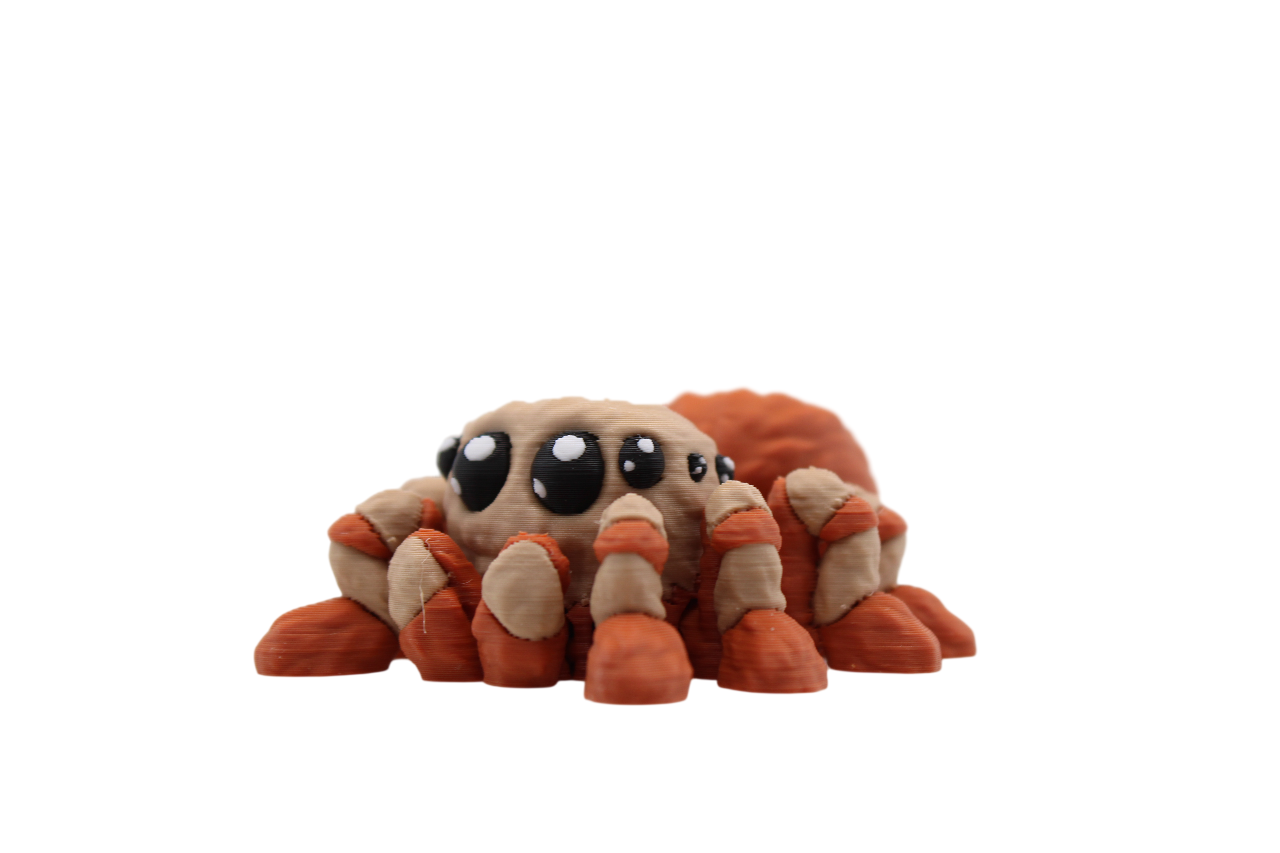 Spider Flexi