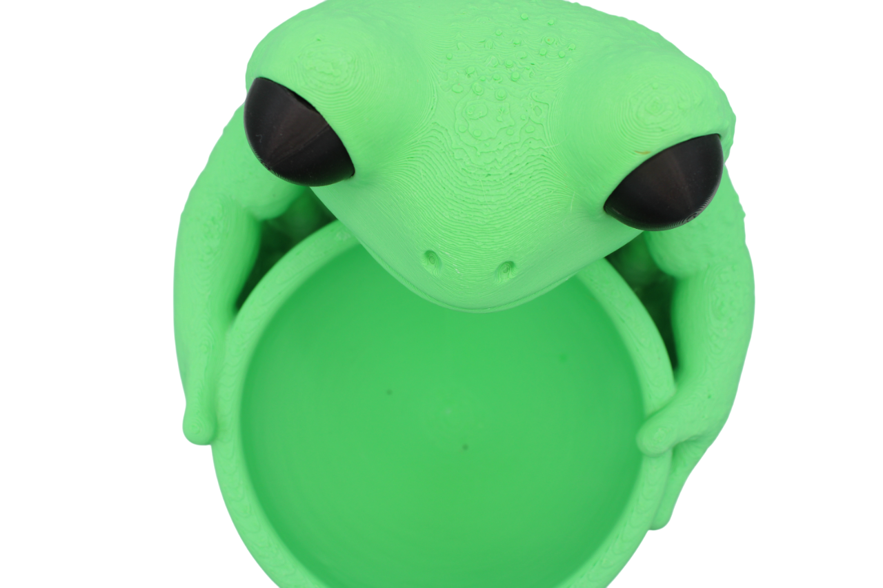 Frog Bowl