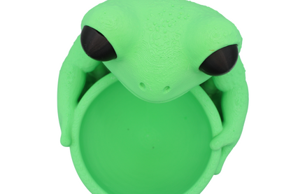 Frog Bowl