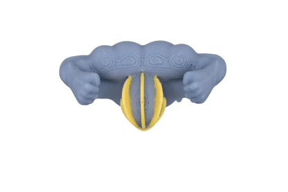 Machamp