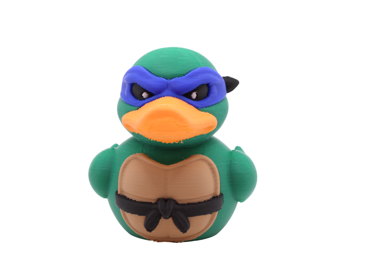 Ninja Turtle Ducks