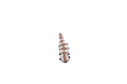 Appa - small