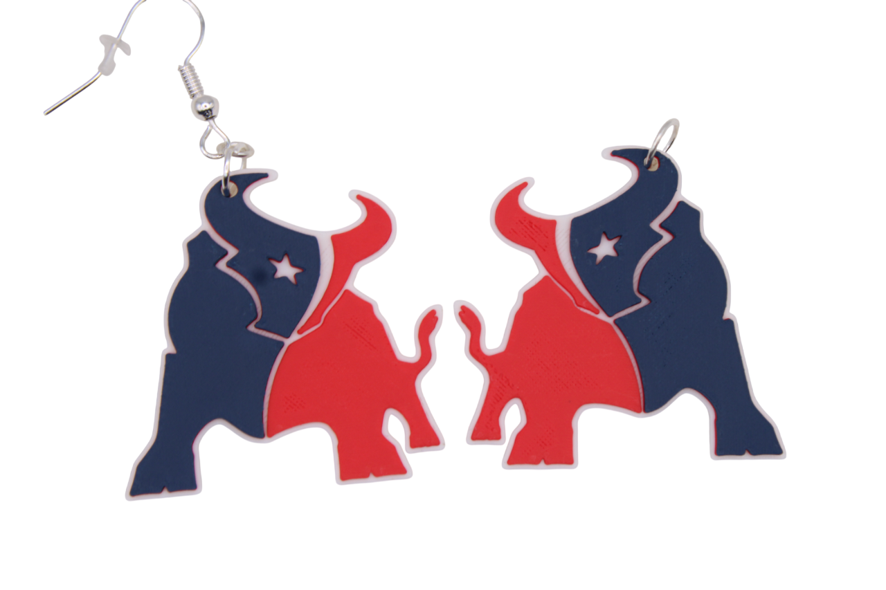 Houston Texans Earrings