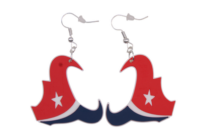 Houston Texans Earrings