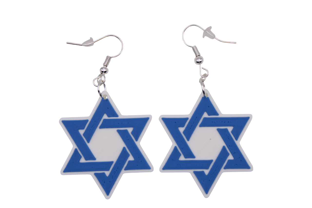 Stop Hate on Jews Earrings