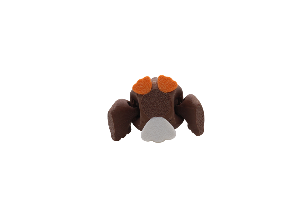 Top view of a 3D printed brown eagle flexi with orange feet and a white tail.