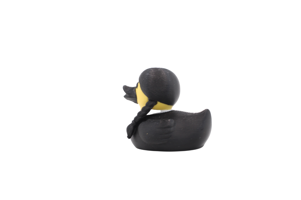 Wednesday Duck