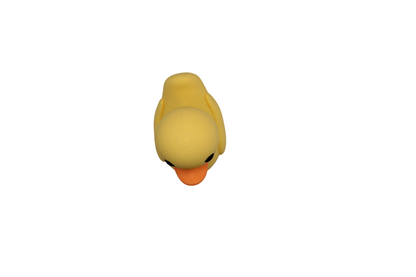 Yellow Duck