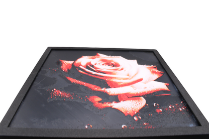 Rose Red Hue