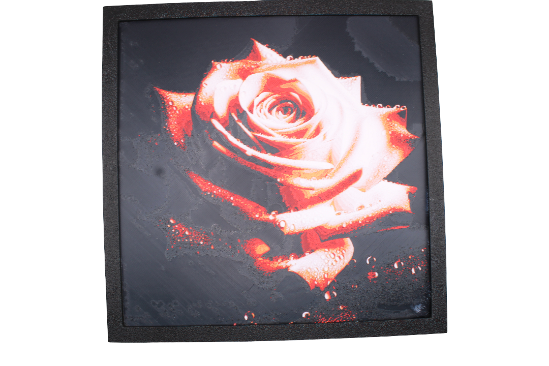 Rose Red Hue