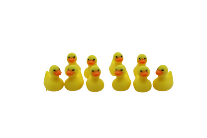 Mini and Tiny Ducks