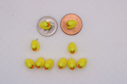 Mini and Tiny Ducks