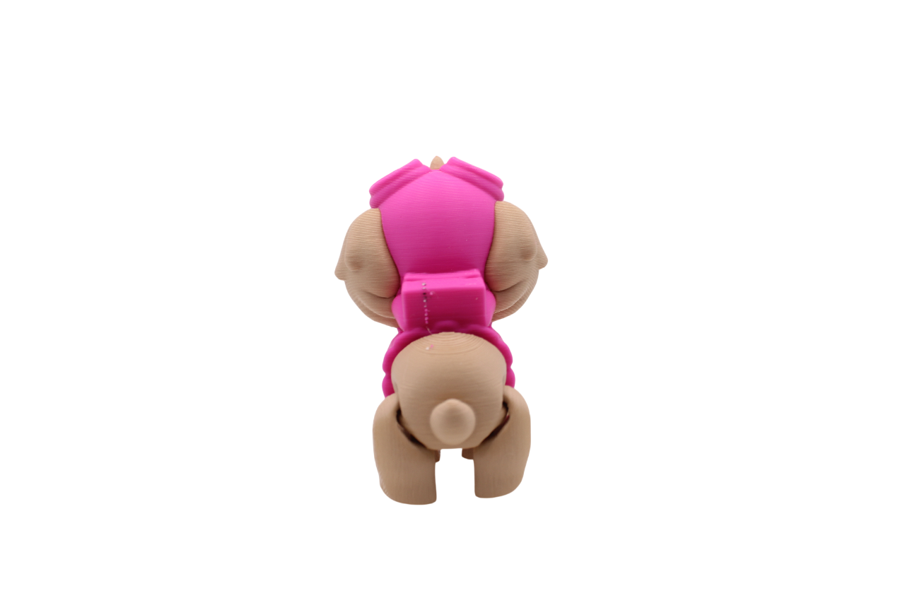 Paw Patrol