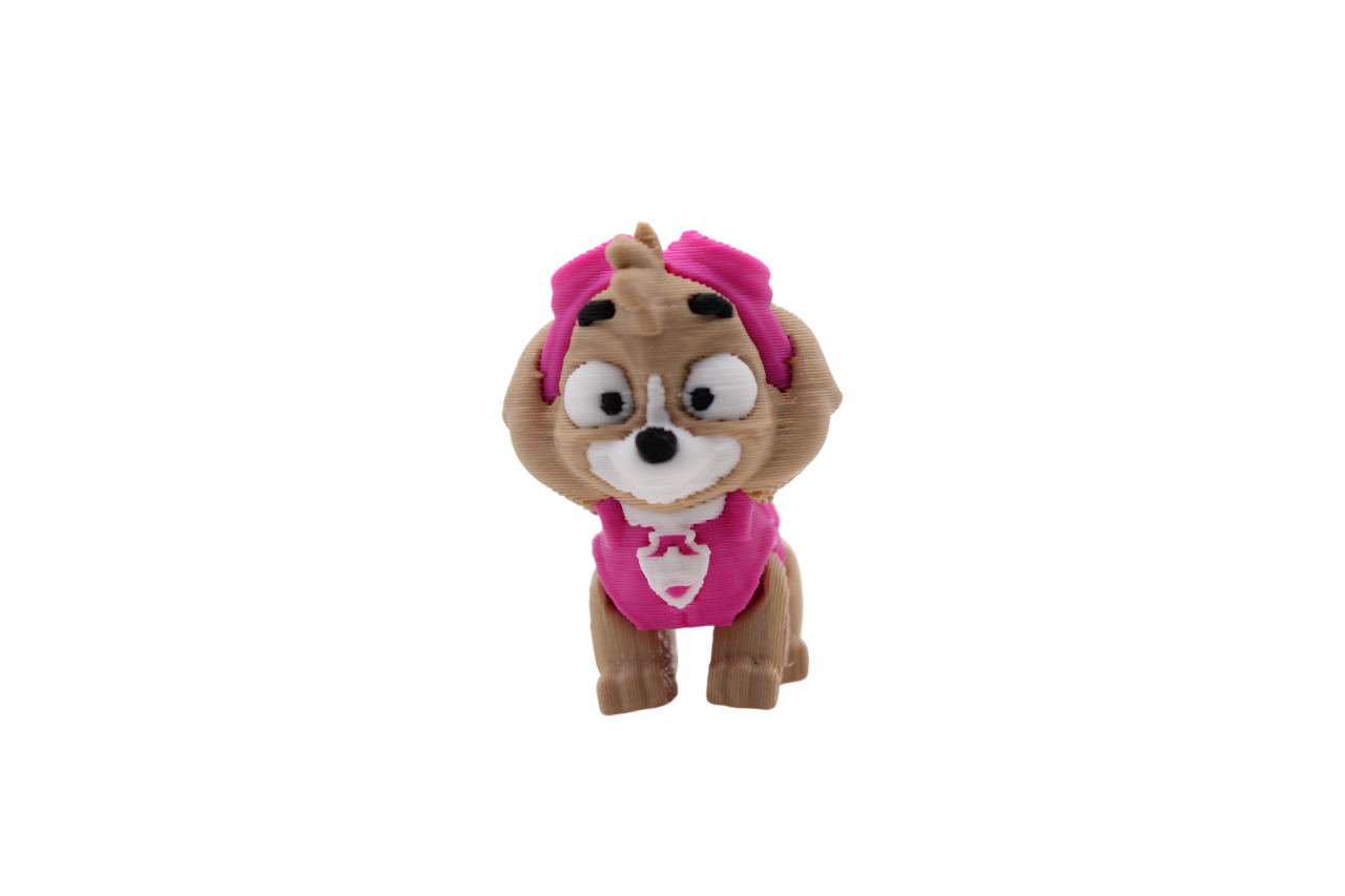 Paw Patrol