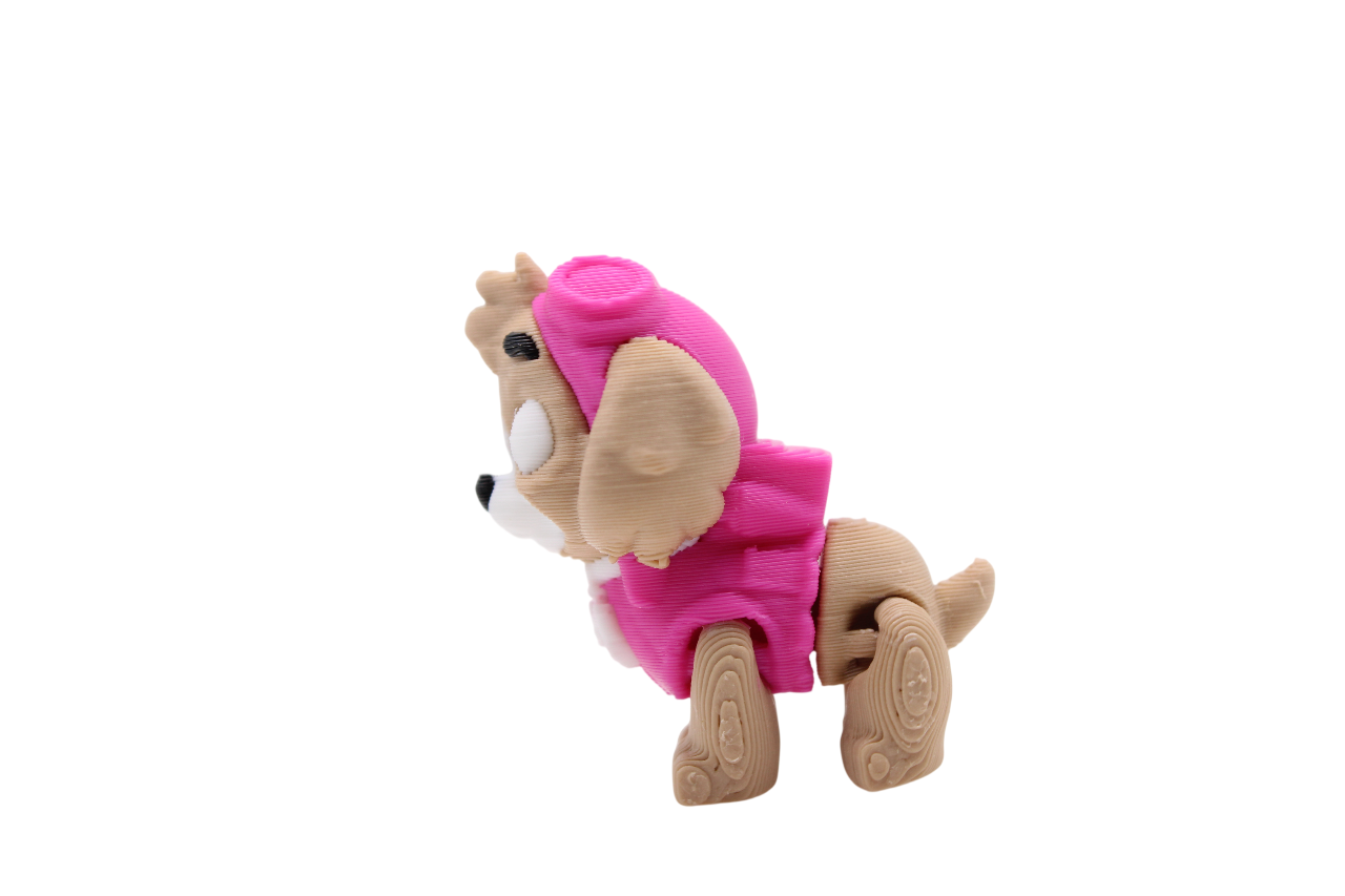 Paw Patrol
