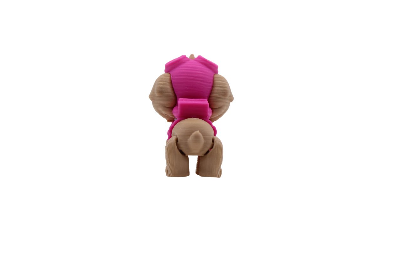 Paw Patrol