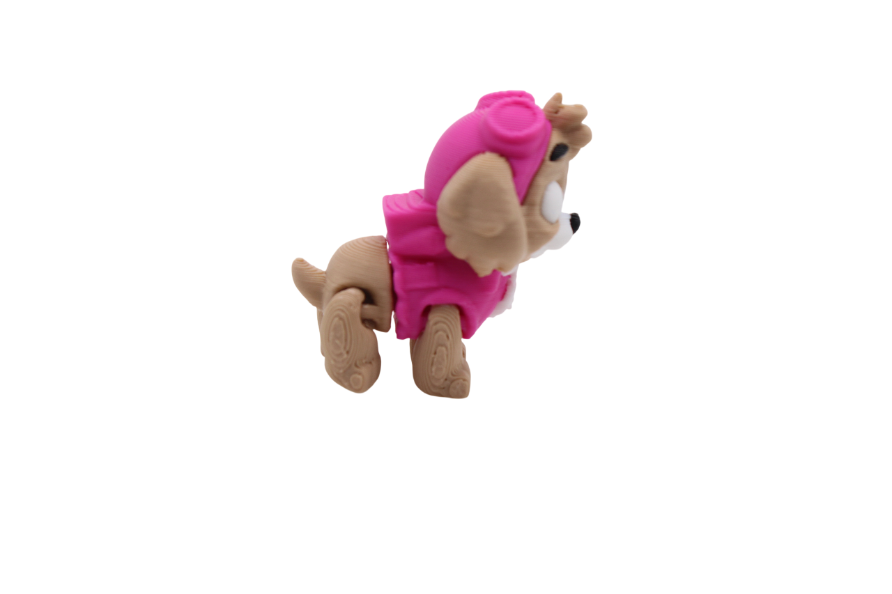 Paw Patrol