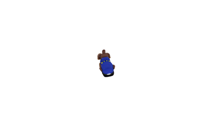 Paw Patrol