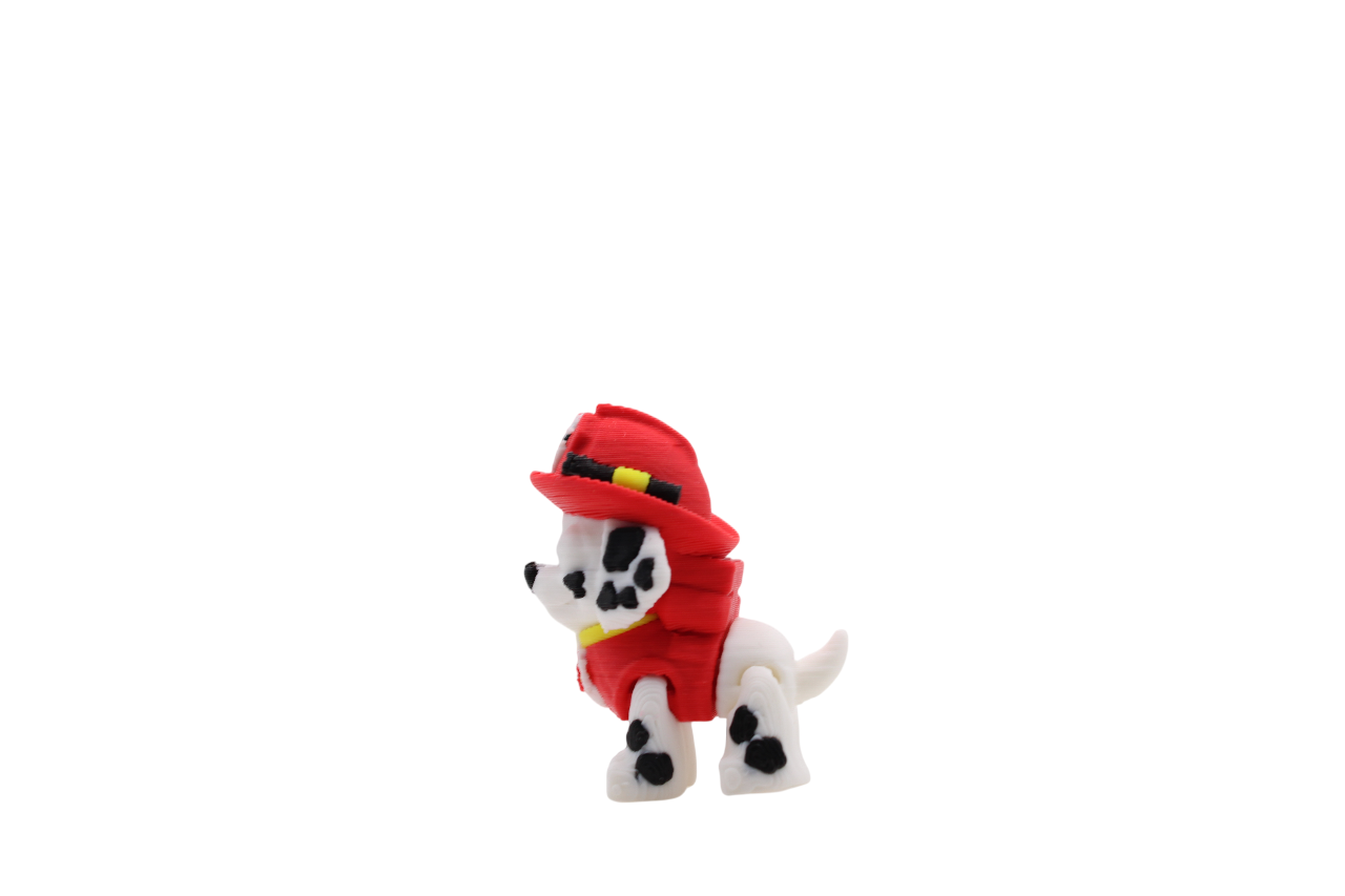 Paw Patrol