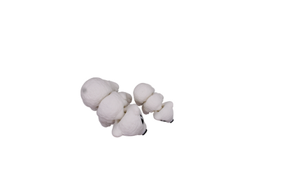 Polar Bear Flexi
