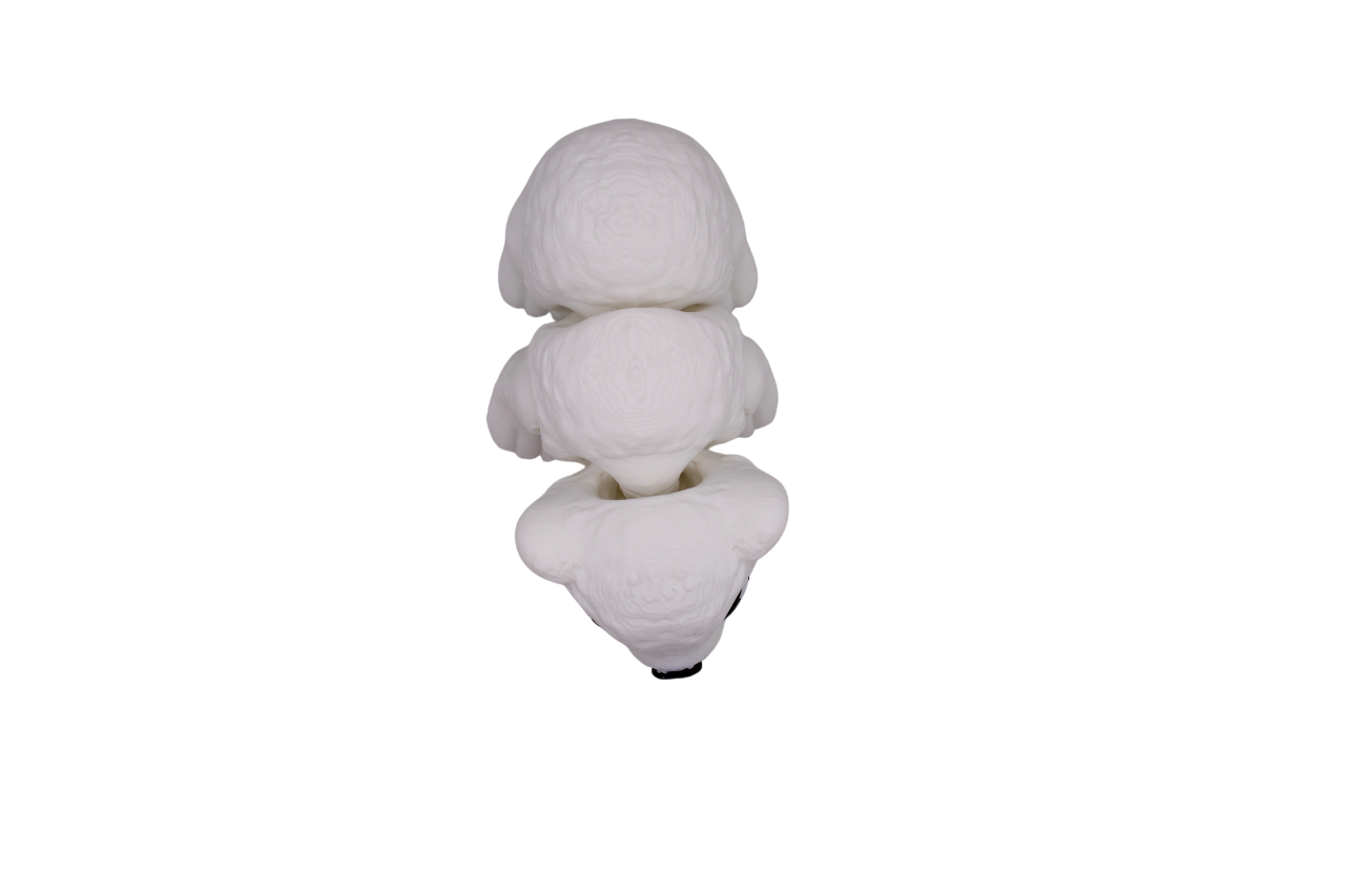 Polar Bear Flexi