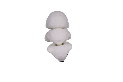 Polar Bear Flexi