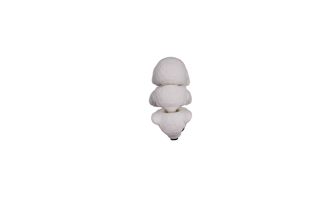 Polar Bear Flexi
