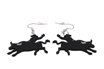 Cowboy/girl Rodeo Earrings Set 1