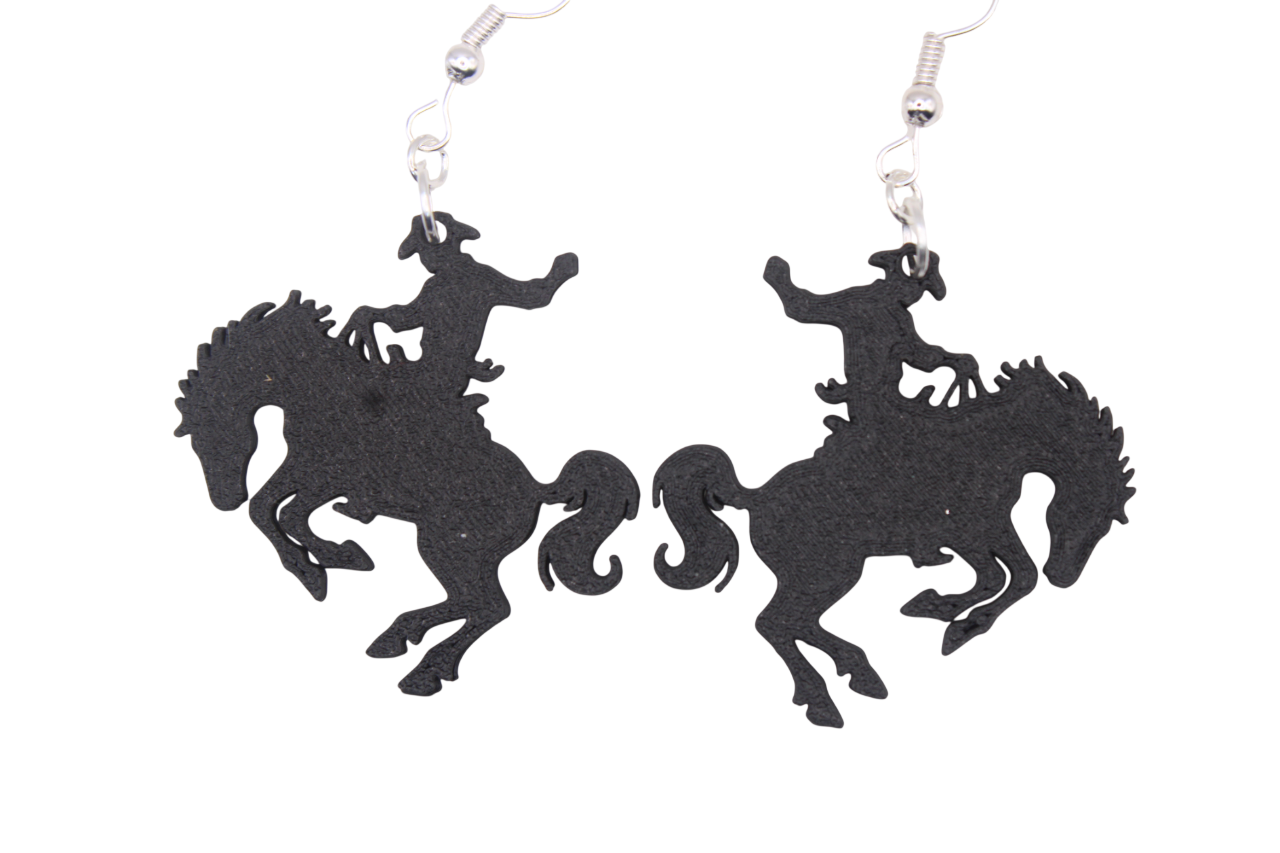 Cowboy/girl Rodeo Earrings Set 4
