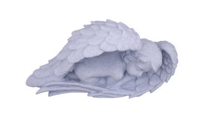 Sleeping Baby Angel