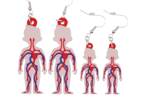 Earrings in two sizes of cardiovascular / circulatory system