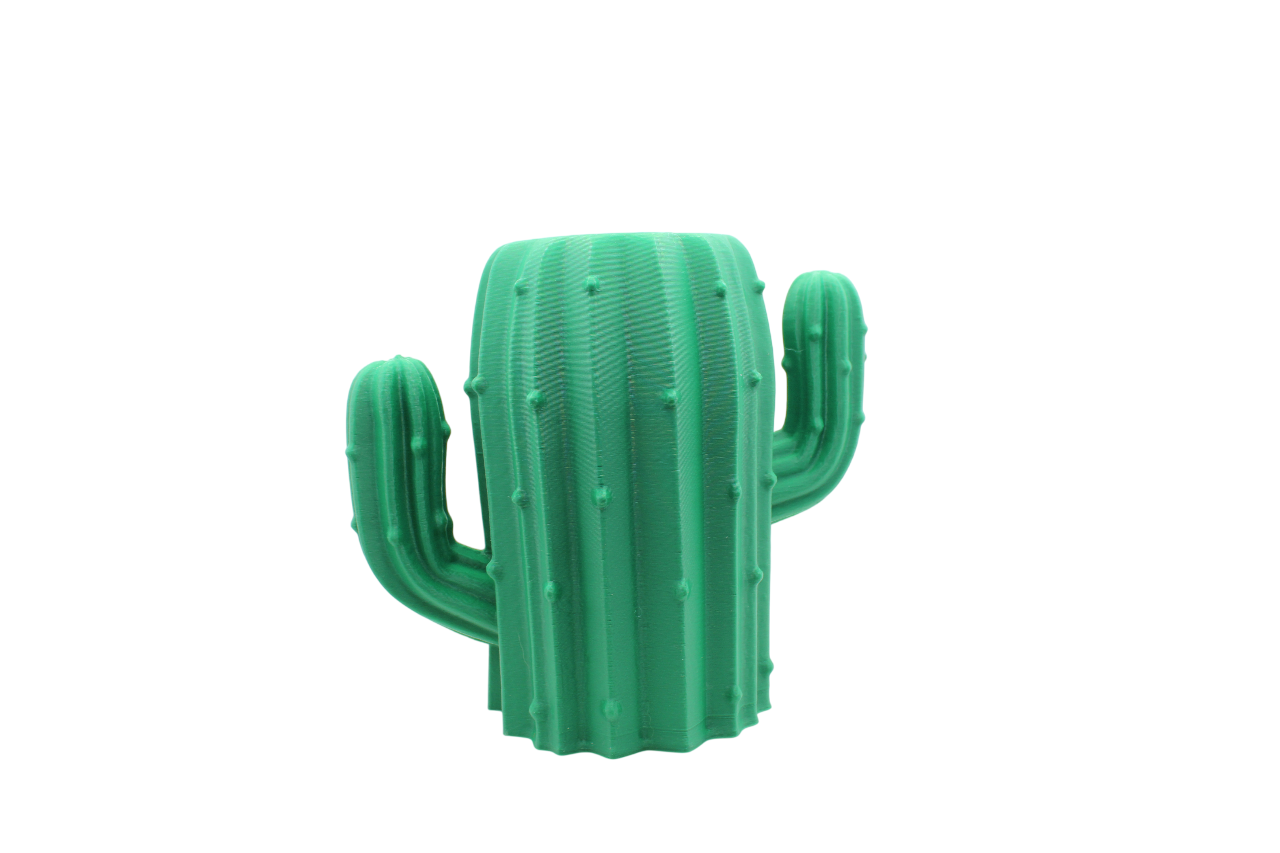 Cactus Pencil Holder