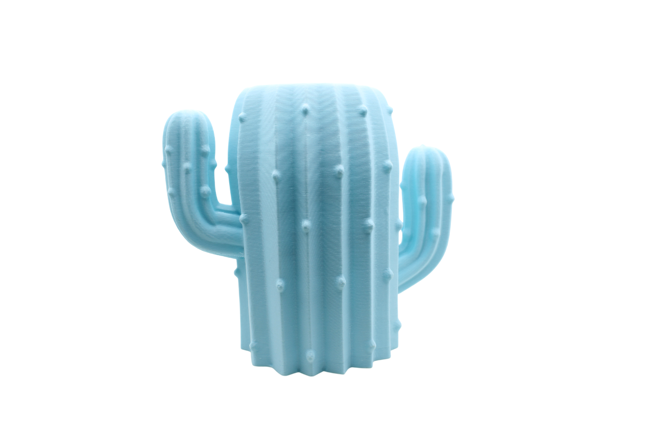 Cactus Pencil Holder