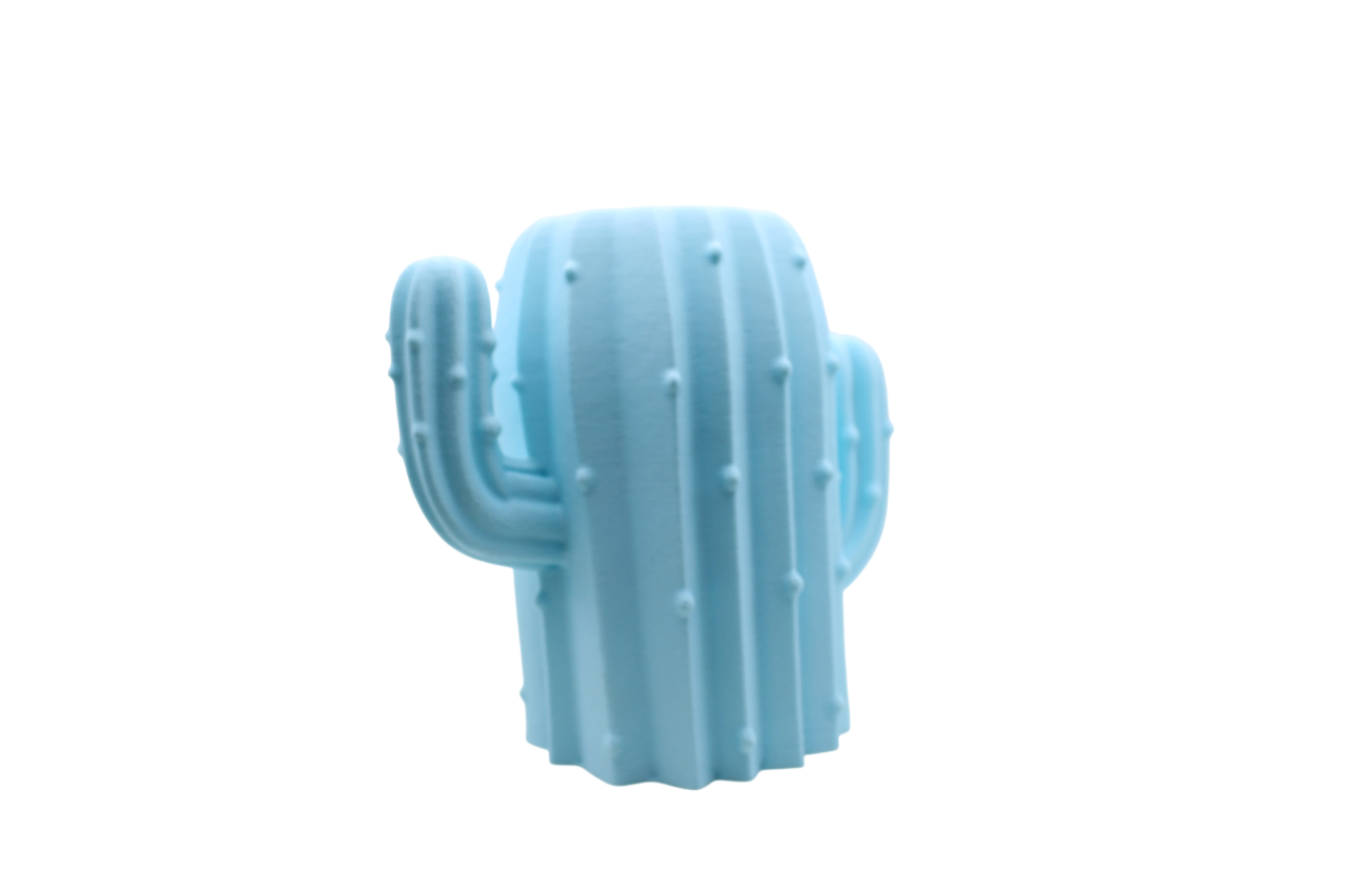 Cactus Pencil Holder